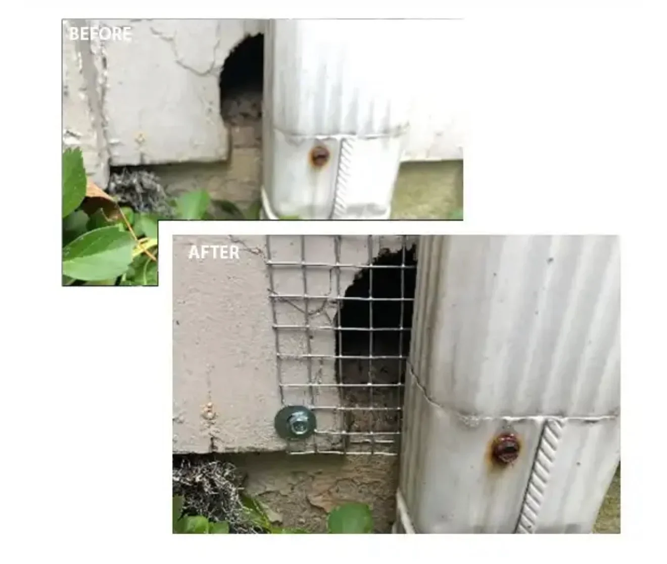 Crawl space vent sealed with white insulation wrap and metal exclusion screen installed